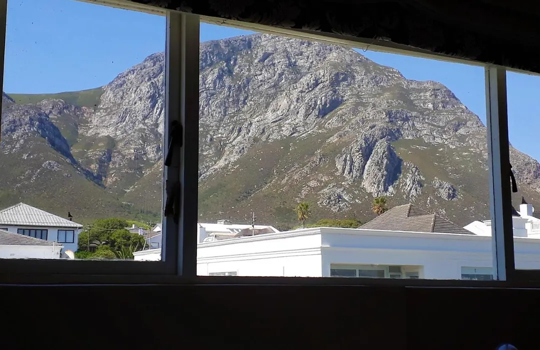 Hermanus Beach Villa-1