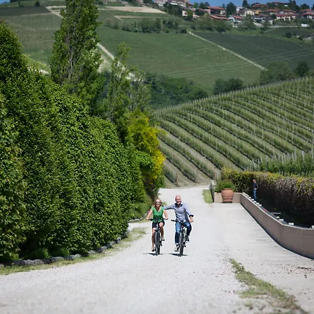 Tenuta Barac-3