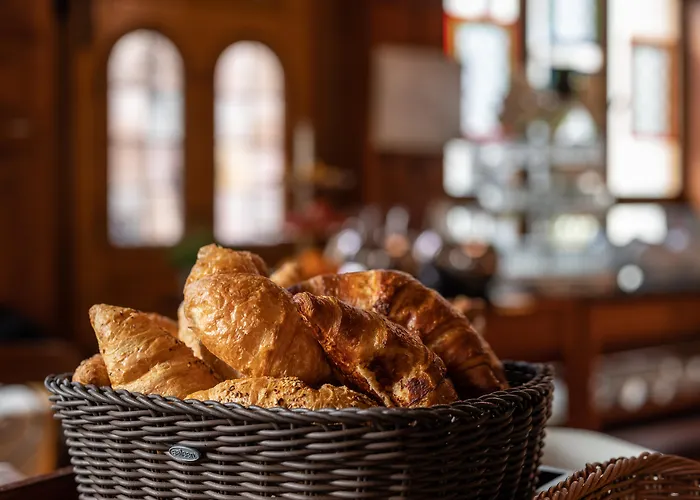 Gaia Hotel Basel - The Sustainable 4 Star Hotel