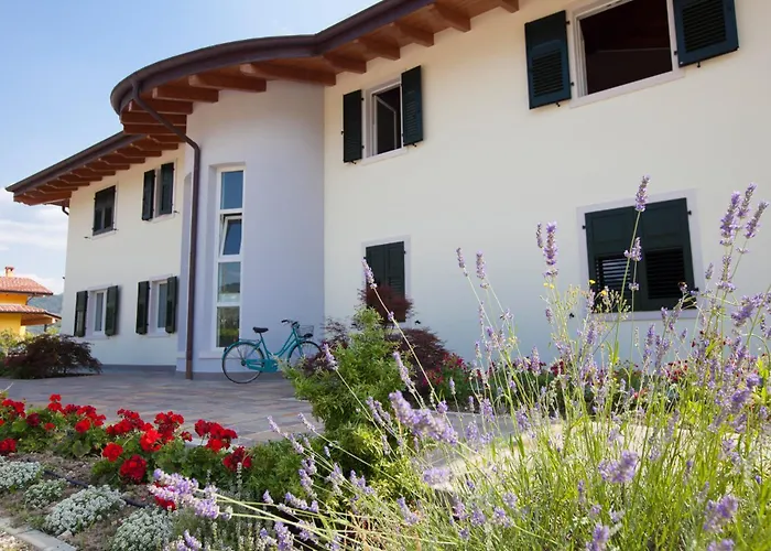 Ab&C Arco Bed And Camping