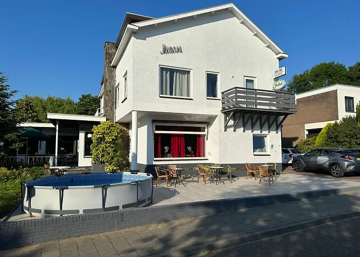 Zentrales Hotel: Mimosa Hotel