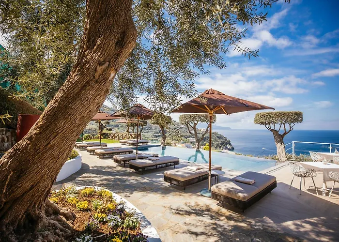 Haustierfreundliches Hotel: Villa Fiorella Art Hotel