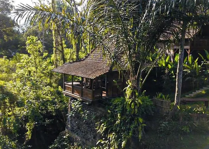 Hotel nahe College: The Jungle Villa