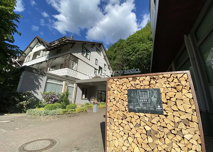 Boutique-Hotel: Harz Hotel & Spa Seela