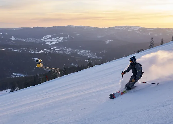 zeitlang by Rösslwirt