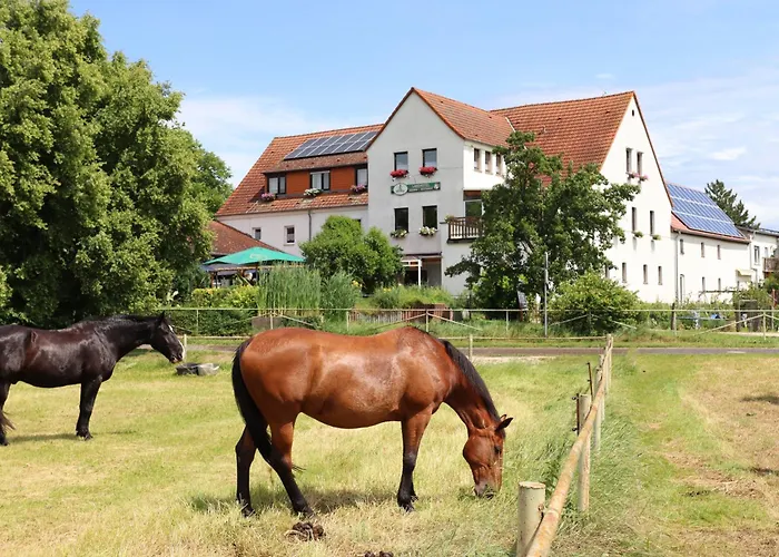 GROBER's Reiterhof