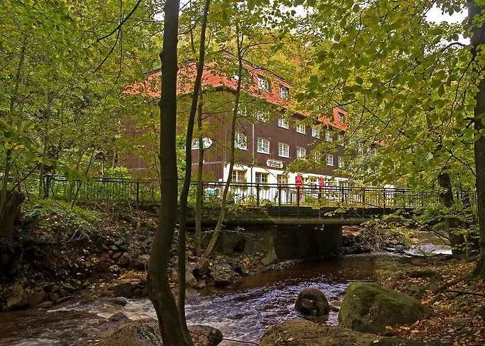 Waldhotel Am Ilsestein